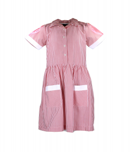 RED STRIPED SUMMER DRESS Image